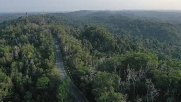 Taman Hutan Raya Bukit Soeharto di Kutai Kertanegara merupakan salah satu hutan di wilayah ibu kota baru. 