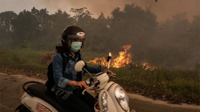 Seorang pengendara motor melintasi lahan yang dilanda kebakaran di Pulang Pisau, Kalimantan Tengah, Jumat (13/09)