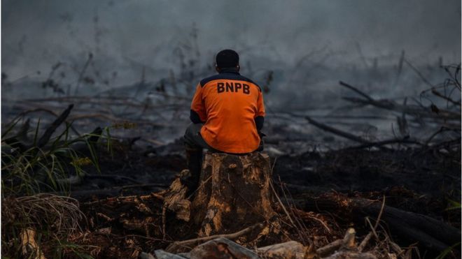 Seorang petugas yang memakai kaus Badan Nasional Penanggulangan Bencana (BNPB) duduk seusai memadamkan api di Kampar, Riau, Senin (09/09).