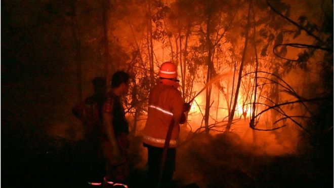 Sejumlah petugas pemadam kebakaran berupaya meredakan api yang melalap kawasan di Pekanbaru, Riau, Jumat (13/09).