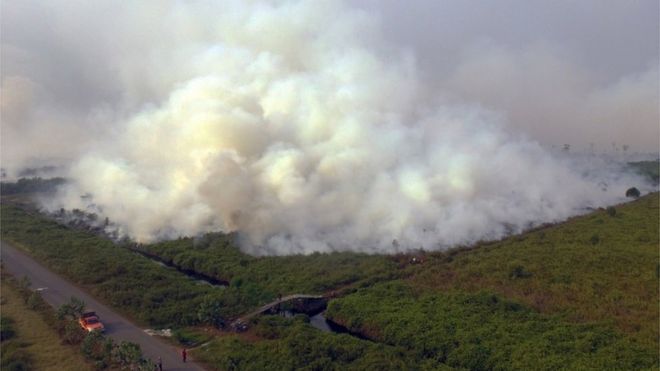 Lahan gambut dilanda kebakaran di Pangkalan Bun, Kalimantan Tengah, Jumat (13/09). 