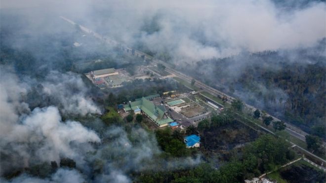Kepulan asap yang berasal dari kebakaran hutan dan lahan membumbung di kawasan Pulang Pisau, Kalimantan Tengah, Jumat (13/09).