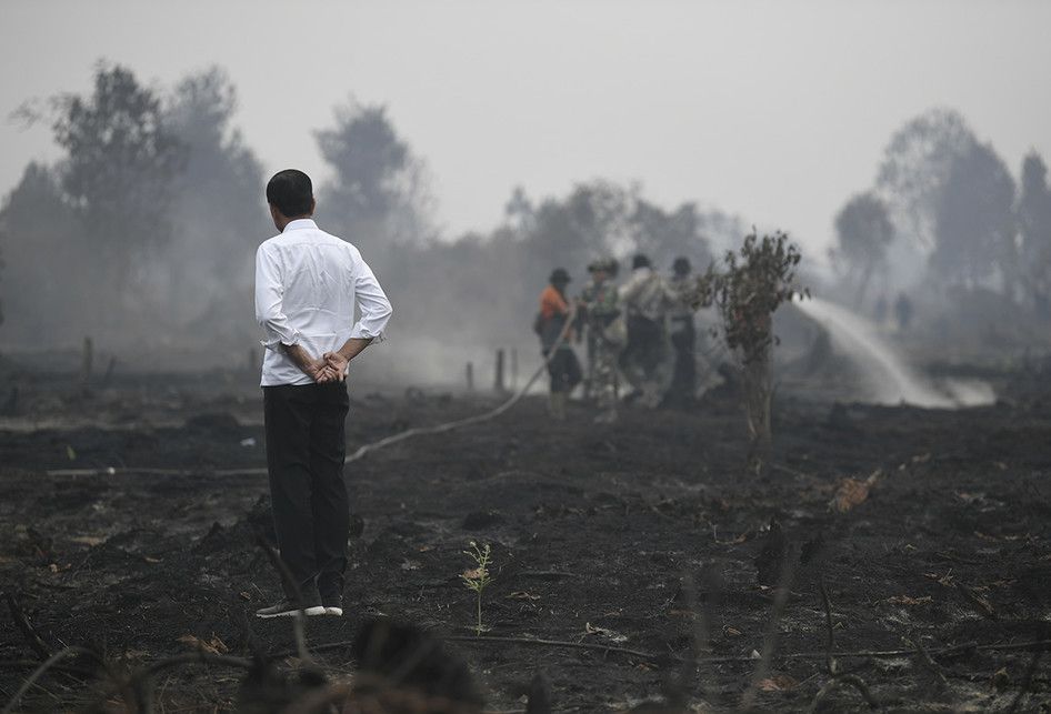 Presiden Joko Widodo meninjau penanganan kebakaran lahan di Desa Merbau, Kecamatan Bunut, Pelalawan, Riau, Selasa (17/9/2019). ANTARA FOTO/Puspa Perwitasari/aww.