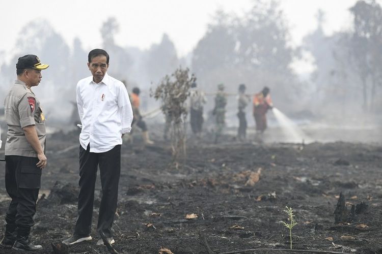 Presiden Joko Widodo (kanan) didampingi Kapolri Jenderal Pol Tito Karnavian meninjau penanganan kebakaran lahan di Desa Merbau, Kecamatan Bunut, Pelalawan, Riau, Selasa (17/9/2019).