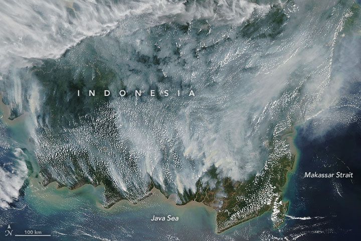 Citra satelit NASA dari kebakaran hutan di Kalimantan
