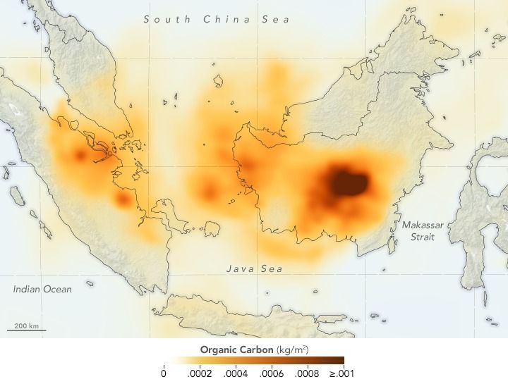 Citra satelit NASA dari kebakaran hutan di Kalimantan