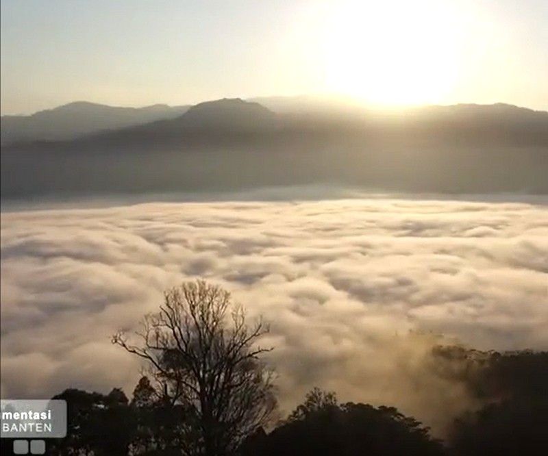 Indahnya pemandangan 'Negeri di Atas Awan' Citorek, Banten