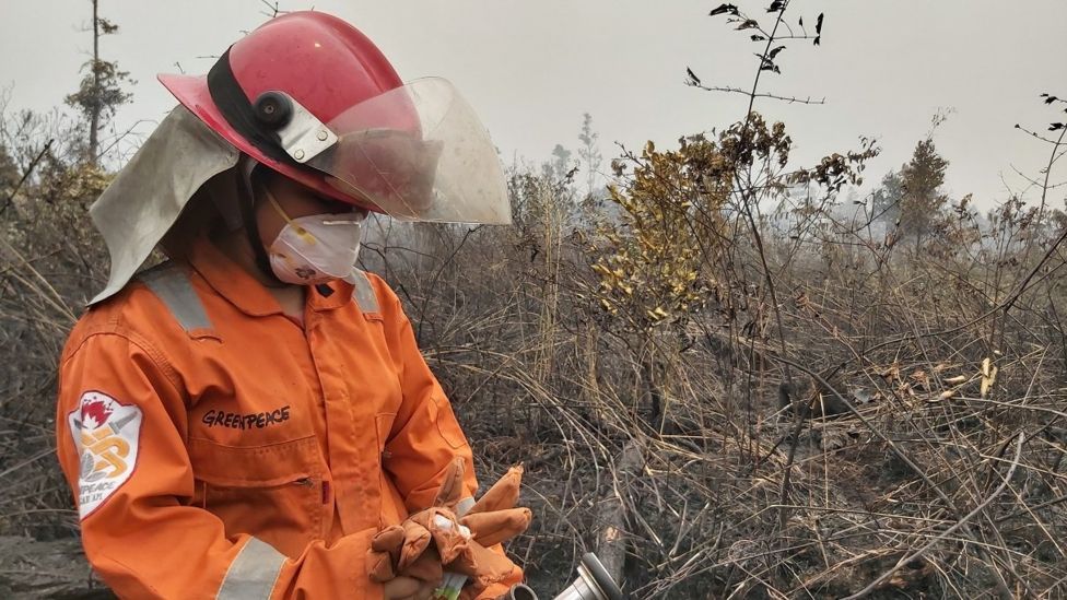 Sola Gratia Sihaloho (22) juga tak habis pikir dengan kebakaran hutan dan lahan yang terus menerus terjadi. 
