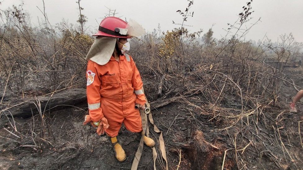 Sola Gratia Sihaloho (22) juga tak habis pikir dengan kebakaran hutan dan lahan yang terus menerus terjadi. 