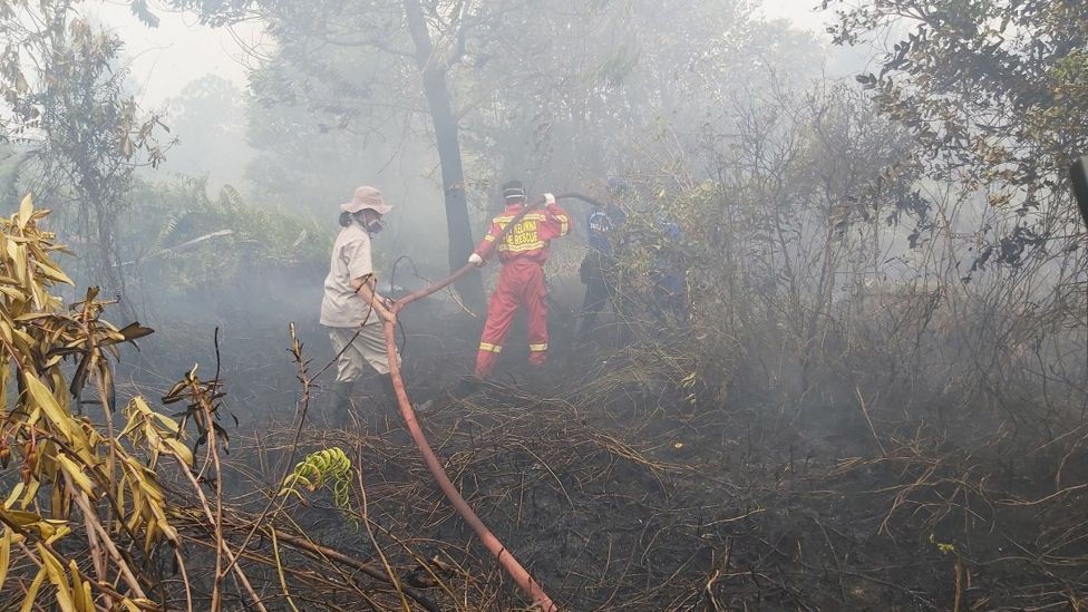 Sumarni (kiri) menarik selang untuk melancarkan aliran air dalam upaya pemadaman salah satu titik api di Palangkaraya, Kalimantan Tengah (18/09) 