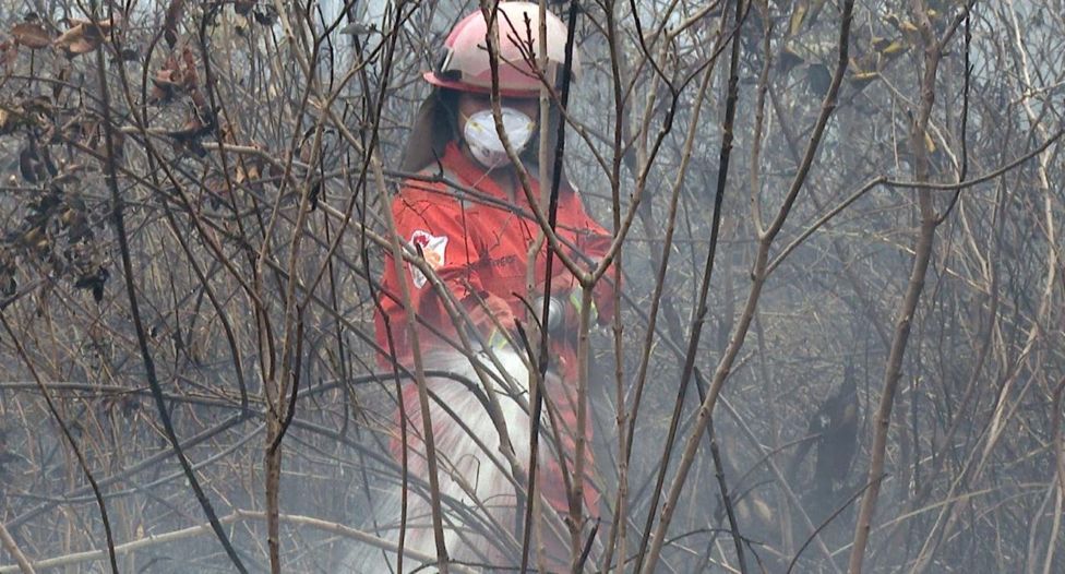 Sola mempraktikkan ilmu yang didapatnya dari pelatihan pemadaman kebakaran hutan dan lahan yang ia ikuti sebelum bergabung dengan Tim Cegah Api, "kita kan nggak bisa sembarang siram." 