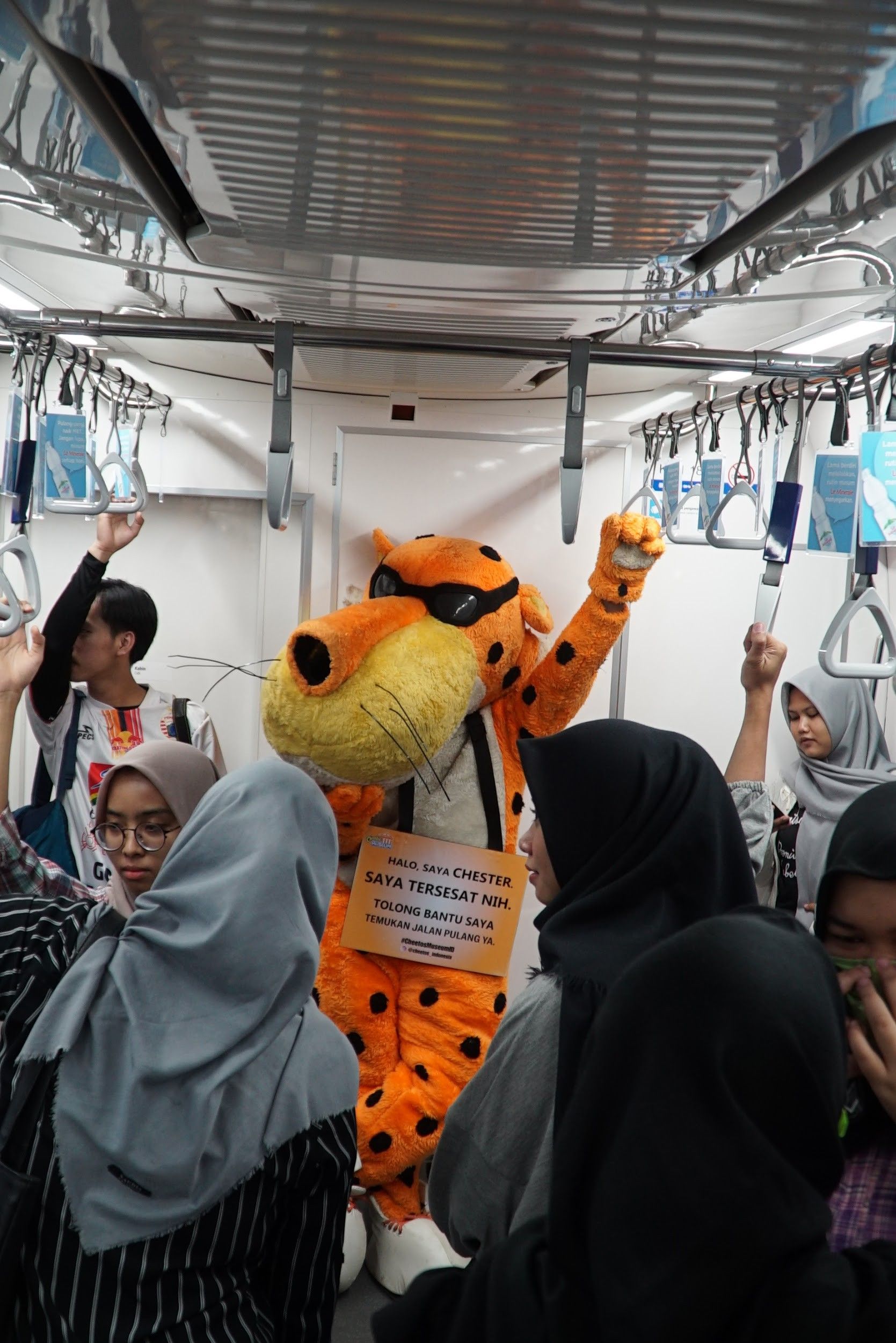 Seekor Cheetah berkeliaran di Jakarta
