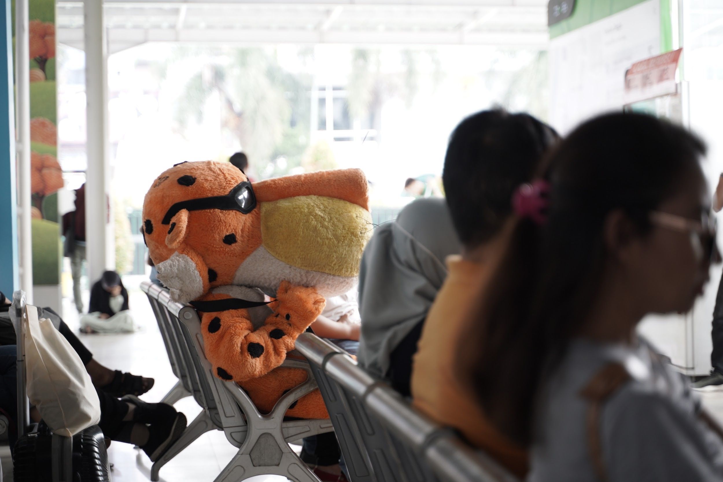 Seekor Cheetah berkeliaran di Jakarta