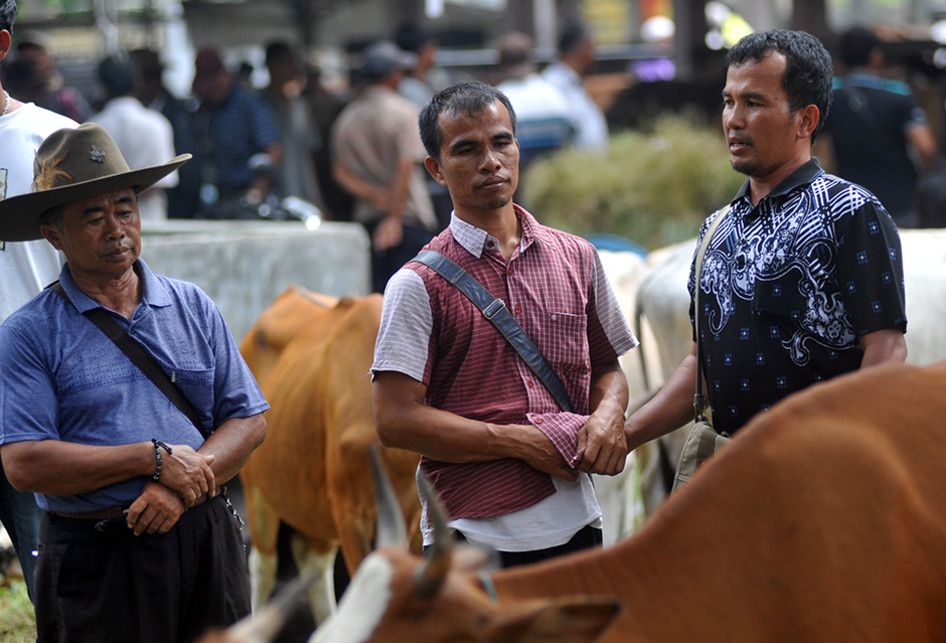 Foto dirilis Kamis (26/9/2019), memperlihatkan penjual dan pembeli melakukan tradisi 'Marosok' saat bertransaksi di Pasar Ternak, Sungai Sariak, Padangpariaman, Sumatera Barat. Ada tradisi turun-temurun di Minangkabau yang disebut Marosok, di mana penjual dan pembeli saling meraba menggunakan jari m