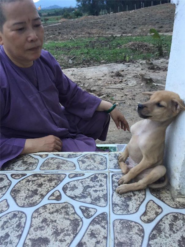 Meski Sudah Diselamatkan dari Jalanan dan Dapatkan Rumah Baru, Dua Anjing Ini Tak Mau Dipisahkan dan Tetap Berpelukan