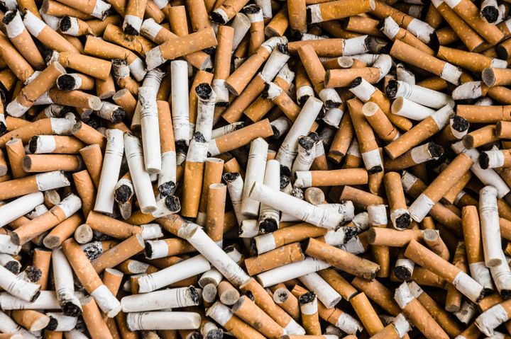 Tak Hanya Sampah Plastik Puntung Rokok Juga Berbahaya Bagi Lingkungan Semua Halaman National Geographic