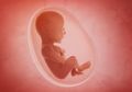 Keunikan Kehamilan Trimester 2, Nafsu Makan Ibu Meningkat, Bayi Bisa Merespon Suara juga Cahaya
