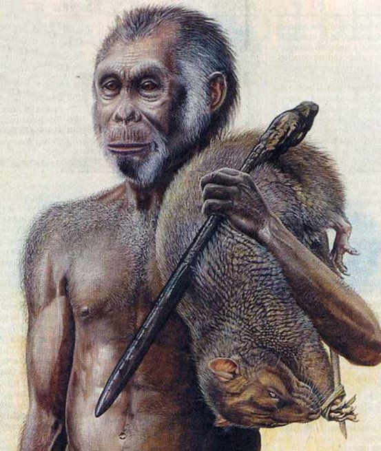 Homo Floresiensis.