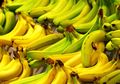 Mencegah Batu Ginjal, 1 dari 8 Manfaat Pisang yang Wajib Anda Tahu