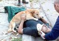 10 Foto Ini Buktikan Bahwa Anjing Lebih Sayang Dibanding Pacar