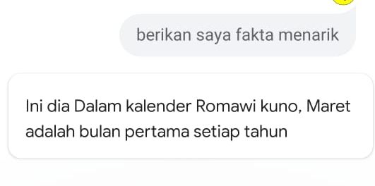 Fakta menarik dari google Assistant