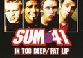 5 Lagu Pop Punk yang Di-Remix Ala EDM, dari blink-182 Sampai Sum 41
