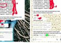 Kompilasi 10 Chat Kocak Mahasiswa dengan Dosen yang Bikin Ngakak