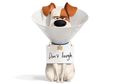 Film The Secret Life of Pets Dibuat Sekuelnya, Ada Trailer Khusus Max!