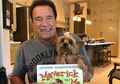 Pencipta Thanos Ingin Sang Musuh Avengers Diperankan oleh Arnold Schwarzenegger