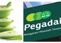 Ibu Rumah Tangga Kini Bisa Gadai Tupperware di Pegadaian, Ini Syaratnya