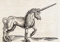 Fakta Sebenarnya dari Unicorn yang Telah Dipercaya Orang Jerman Selama 350 Tahun