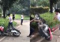 Viral Video Pria Hancurkan Motor saat Ditilang, Ini Alasan Psikologis Kenapa Emosi Bisa Berujung Pengrusakan!