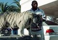 Jual Rumah Rp126 Miliar, Mantan Istri Mike Tyson Kenang Momen Lucu Ketika Kehilangan Harimau di Dalamnya