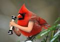 Kocak! 15 Hasil Photoshop Antara Manusia dan Hewan Ini Bisa Pas Banget