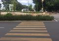 Viral, Zebra Cross GBK Terhalang Tanaman Sehingga Susah Nyebrang. Bukan Cuma Satu, Tapi Empat!