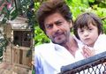Wah Rumah Pohon Shah Rukh Khan untuk Si Kecil Bikin Terpukau, Lihat Desainnya!