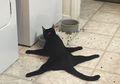 10 Foto Kucing Ini Bisa Bikin Mood Kita Bagus. Ngakak Banget!