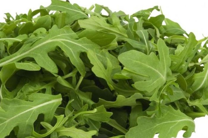 Sayuran arugula 