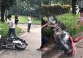 Iba dengan Gadis yang Motornya Dirusak Sang Kekasih, Grab Adakan Sayembara untuk Beri Layanan Gratis Pada Wanita Tersebut