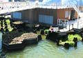 Taman Apung Ini Rupanya Daur Ulang dari Sampah Plastik. Kreatif!