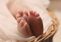 Polisi Temukan 20 Kantong Tulang Bayi di Belakang Rumah, Ini Cerita Di Baliknya