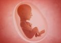 20 Kantong Tulang Bayi Ditemukan di Belakang Rumah Dukun Pijat Magelang