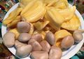Beton, Biji Buah Nangka yang Kaya Gizi Sehat dan Berkekuatan Mistis