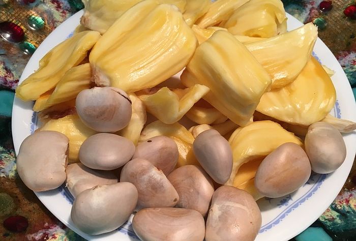 
biji nangka dapat mengatur gula darah 