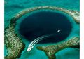 Seperti Lubang Menuju Dunia Lain di Lautan, Inilah The Great Blue Hole