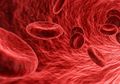 Darah Manusia yang Berwarna Merah, Bisa Jadi Seputih Susu! Apa Sebabnya?
