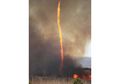 Firenado, Pusaran Api yang Terbentuk Karena Kebakaran dan Tornado