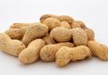 Kacang Tanah Bukan Kacang-kacangan, Lalu Termasuk Kelompok Apa?