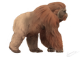Cerita Gigantopithecus, Kera Terbesar yang Pernah Ada di Bumi