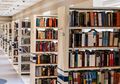 Sejarah Perpustakaan Dunia, Ada Sejak 2.000 Tahun Lalu #akubacaakutahu